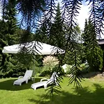 Rogowski Apartment Breitenbrunn (Saxony)