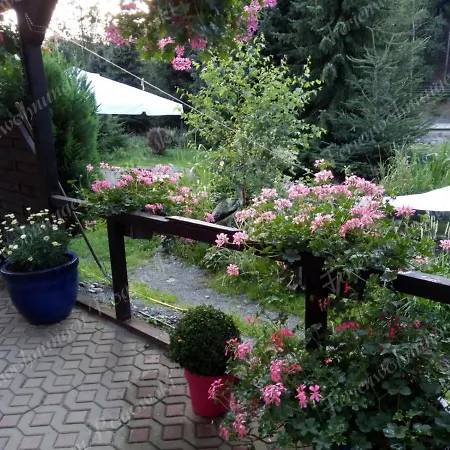 Rogowski * Breitenbrunn (Saxony)