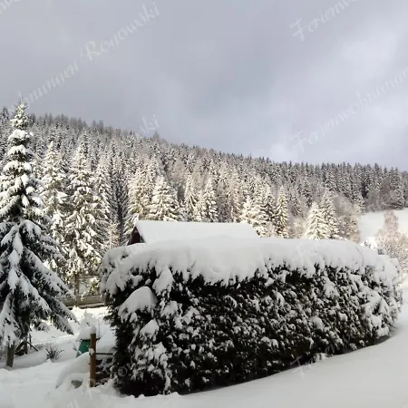 Apartment Rogowski Breitenbrunn (Saxony)