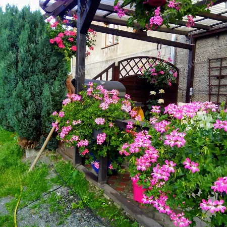 Apartament Rogowski Breitenbrunn (Saxony)