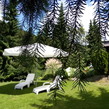 Rogowski Apartament Breitenbrunn (Saxony)