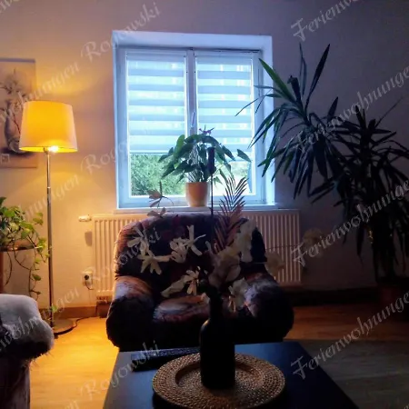 Rogowski Breitenbrunn (Saxony)