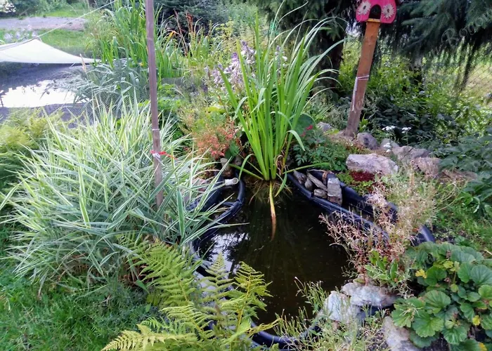 Rogowski Διαμέρισμα