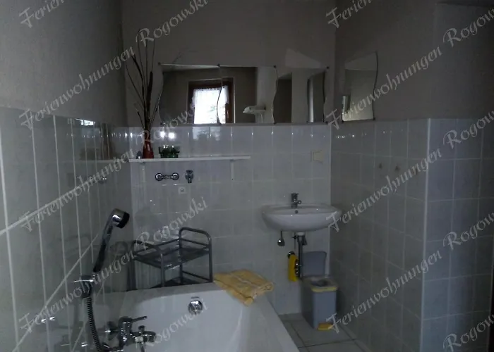 Rogowski Breitenbrunn (Saxony)