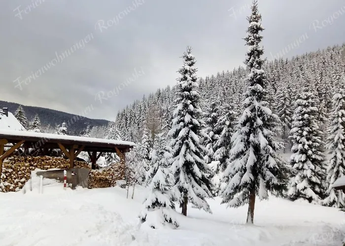 Rogowski Διαμέρισμα