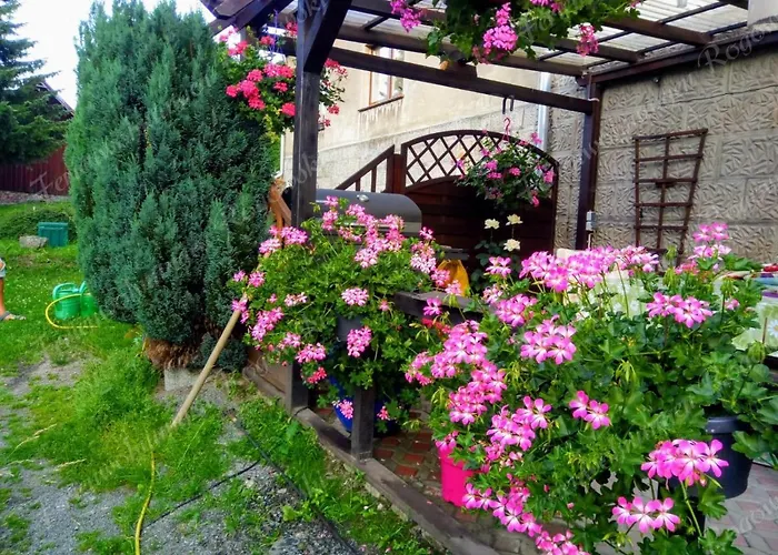 Διαμέρισμα Rogowski Breitenbrunn (Saxony)