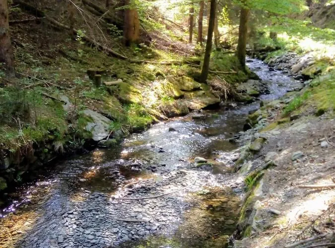 Rogowski Διαμέρισμα Breitenbrunn (Saxony)