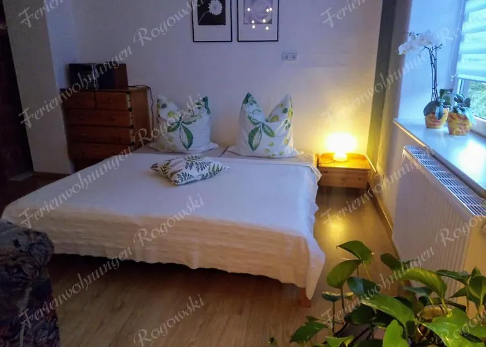 Διαμέρισμα Rogowski