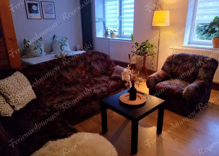 Διαμέρισμα Rogowski Breitenbrunn (Saxony)